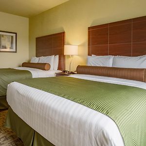 Queen Room Two Queen Beds